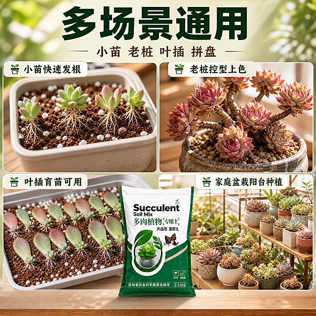[主图-4] 适用人群场景图主图。
[氛围风格] 拼多多风格 大字直白 多场景展示 清新自然 家庭园艺氛围 商业摄影质感。
[画质] 商业摄影质感、光线柔和通透、场景真实自然、画面干净温馨。
[元素] 画面采用四宫格或多场景组合构图，展示四种不同使用场景：左上「小苗快速发根」——小巧的多肉叶插苗和小苗种在小方盆里，根系白嫩发达；右上「老桩控型上色」——造型优美的多肉老桩盆栽，叶片饱满颜色艳丽；左下「叶插育苗可用」——叶插盘里整齐排列的多肉叶片，发出小芽和新根；右下「家庭盆栽阳台种植」——阳台花架上摆满各种多肉盆栽，阳光洒入，温馨家庭园艺场景。画面中央或底部摆放一袋多肉专用营养土产品。背景为浅木色+淡绿色渐变，清新自然。**保持多肉营养土产品包装外观与输入产品图一致，各场景多肉植物状态真实**。整体主体占画面约70%。
[光影] 自然光从上方斜射，柔和温暖，每个小场景都有均匀明亮的光照，阴影柔和，整体清新通透。
[配色] 主色调深森林绿+土棕色；辅助色米白、浅木色、淡粉（多肉色）；强调色鲜绿色。与首图统一色板。
[视角构图] 中心产品+四周四宫格场景的构图方式，视角丰富，有俯视有平视，场景感强。
[文字版式] 画面顶部居中大标题「多场景通用」，超大号粗黑体深绿色字，最醒目；标题下方副标题「小苗 老桩 叶插 拼盘」，中号粗体棕褐色字；每个场景小图上方或下方标注对应场景名称和带盆栽图标的卖点：「🪴小苗快速发根」「🪴老桩控型上色」「🪴叶插育苗可用」「🪴家庭盆栽阳台种植」，深绿字白底色标签。文字清晰可读，不遮挡主体。
[输出要求] 1:1比例，文字清晰锐利，超高清商业摄影质感。
[负向提示词] 变形，文字错乱，产品图模糊，背景杂乱，水印，电商平台Logo，多余的手，畸形手。