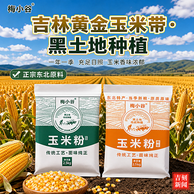 [主图-2] 原料产地溯源图，吉林黄金玉米带黑土地种植。拼多多大字风，产地信任背书。
[氛围风格] 辽阔东北黑土地玉米田，丰收季节，金黄玉米一望无际，蓝天白云，大气震撼。
[画质] 商业摄影质感，高清实拍感，画面通透，色彩饱满，细节丰富。
[元素] 画面下半部分展示一袋绿袋粗玉米面产品和一袋黄袋细玉米面产品，并排摆放，旁边有真实玉米棒和金黄玉米粒。背景是辽阔的吉林黄金玉米带大田，成排的玉米杆金黄饱满，远处是黑土地农田和远山，天空有白云。左上角"梅小谷"品牌Logo。产品占画面约45%，完整展示。保持产品外观与输入产品图完全一致，杜绝变形色差。
[光影] 自然正午阳光，明亮充足，玉米田呈现金黄光泽，产品受光均匀，阴影自然，整体明亮通透。
[配色] 主色金黄色（玉米田），辅色深绿色（玉米叶/黑土地），强调色红色（标签），卡片用白色半透明底。
[视角构图] 平视略俯视，产品在下方，背景玉米田延伸至远方，有纵深感，天空占上方约1/3。
[文字版式] 顶部大标题加粗大字："吉林黄金玉米带·黑土地种植"，白色粗黑体带浅黄描边，居中，字号最大。标题下方小字："一年一季 充足日照 玉米香味浓郁"，白色细黑体，居中。左侧绿色圆角标签白字："✅正宗东北原料"。右下角小印章式红底白字："吉刻新闻"。所有文字清晰可读，不遮挡产品。
[输出要求] 1:1比例，文字清晰锐利，超高清商业摄影质感。
[负向提示词] 变形，文字错乱，产品图模糊，背景杂乱，水印，电商平台Logo。