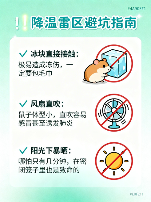 仓鼠降温雷区避坑指南科普图文，顶部标题文字为"⚠️ 降温雷区避坑指南"，标题字体圆润清爽，颜色#4A90E2，中等字号，标题左侧带有竖线高光。三个避坑要点分点排列：❌ 冰块直接接触：极易造成冻伤，一定预览效果
