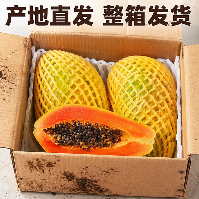 [主图-9] 整箱发货包装展示。[氛围风格] 真实开箱，信任感强。[画质] 真实风格摄影，清晰自然。[元素] 打开的快递纸箱里面，整齐摆放着两个带网套的完整冰糖木瓜，旁边再放半个切开的木瓜展示品质，纸箱外沾有少许果园泥土，体现产地直发。保持切开木瓜与输入产品图一致，产品不变形。主体占比约70%，画面真实自然。[光影] 室内自然光，真实自然，没有明显硬阴影。[配色] 牛皮纸纸箱原色，青黄色木瓜，搭配橙红切面，真实接地气。[文字版式] 顶部大字「产地直发 整箱发货」，深棕色粗体，醒目清晰。[比例分辨率] 1:1 比例，2048x2048分辨率，文字清晰可辨，超高清。[负向提示词] 变形，水印，文字错乱，产品图模糊，背景杂乱，色差。