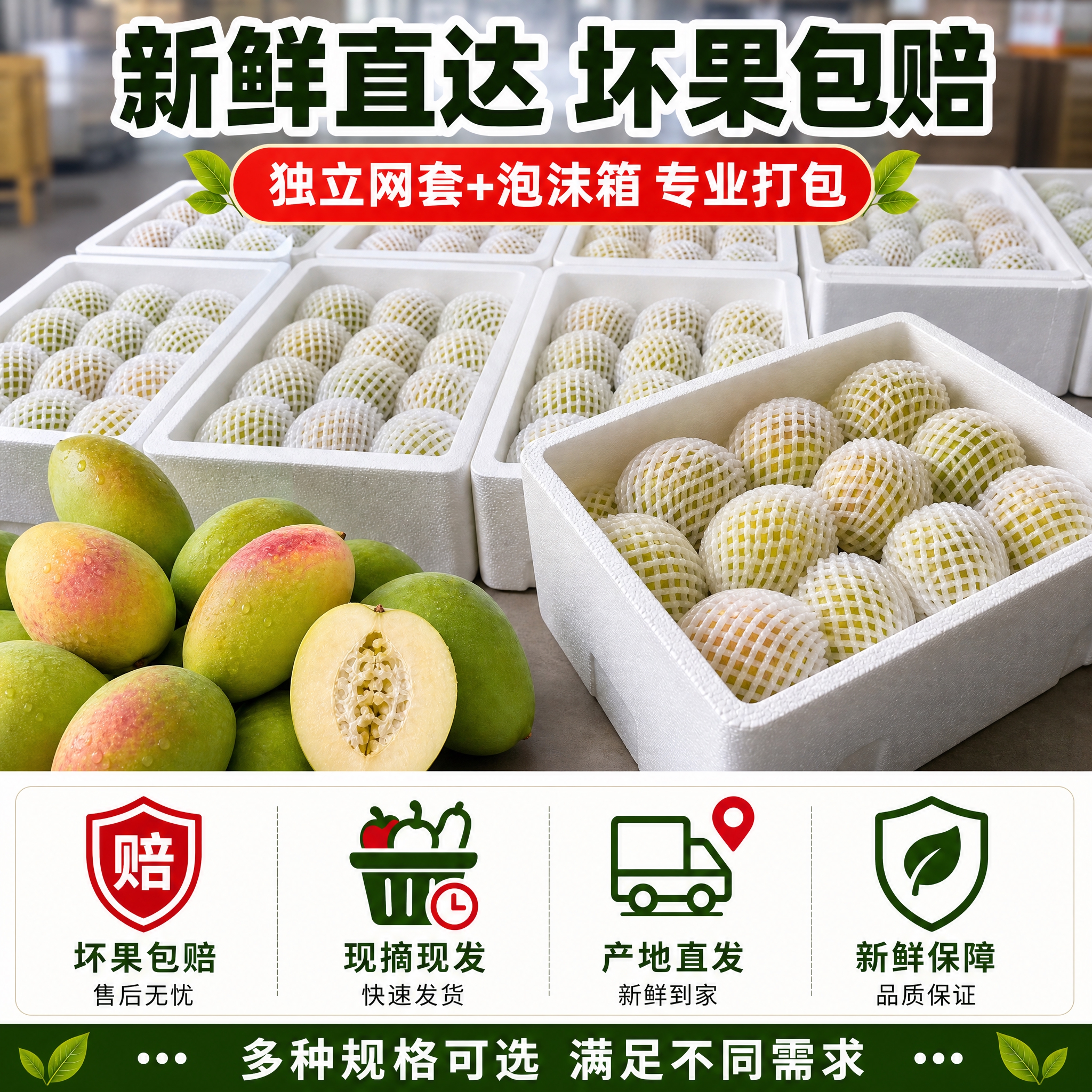 [主图-5 800x800 综合优化] 云南洱源红花酸木瓜规格… - 图片创意预览