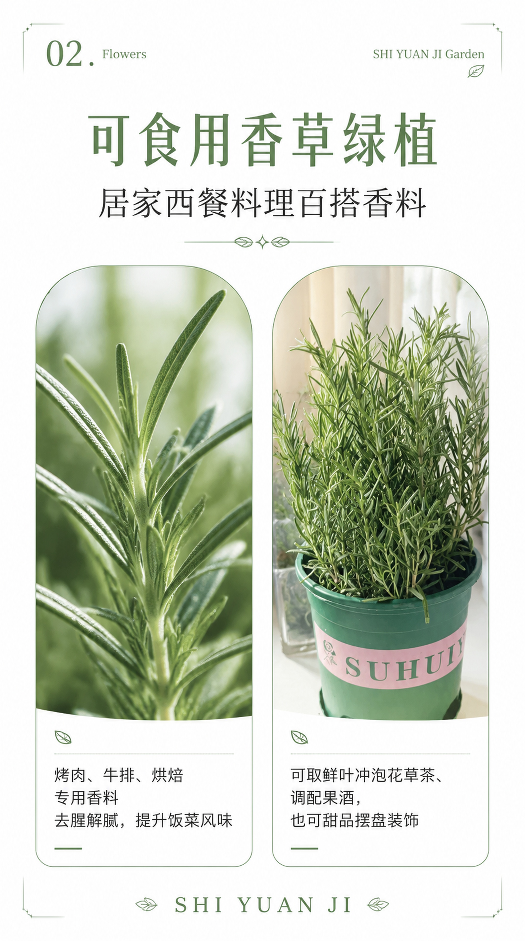 [第3屏] 功能卖点介绍页，迷迭香全能食用香草，西餐料理必备卖… - 图片创意预览