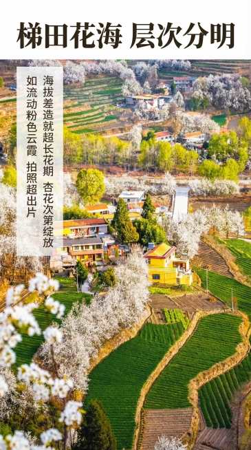确认预览效果