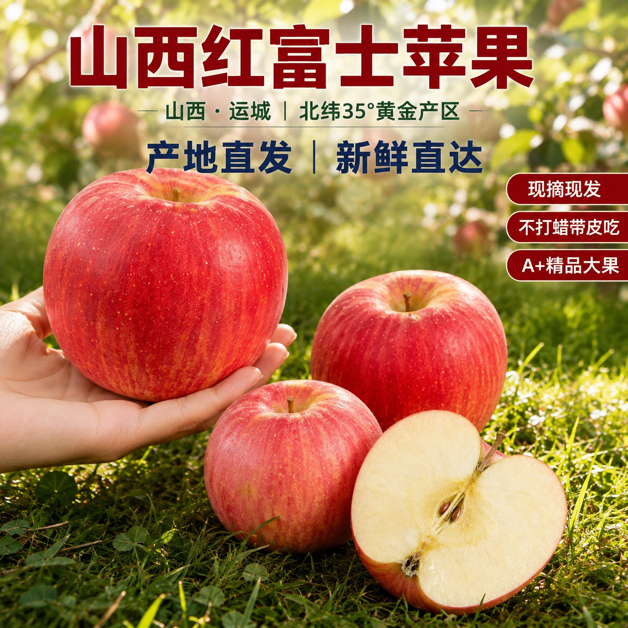 京东电商主图，800×800像素，1:1比例。背景为山西运城苹… - 图片创意预览