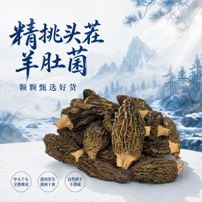[单张主图] 头茬羊肚菌干货，高级氛围感主图，突出天然珍菌优质品质和工艺优势。
[画面主体] 多朵干羊肚菌实物堆放，聚焦展示完整蜂窝褶皱纹理，一颗中等大小羊肚菌自然突出作为视觉焦点。保持羊肚菌外观（物预览效果