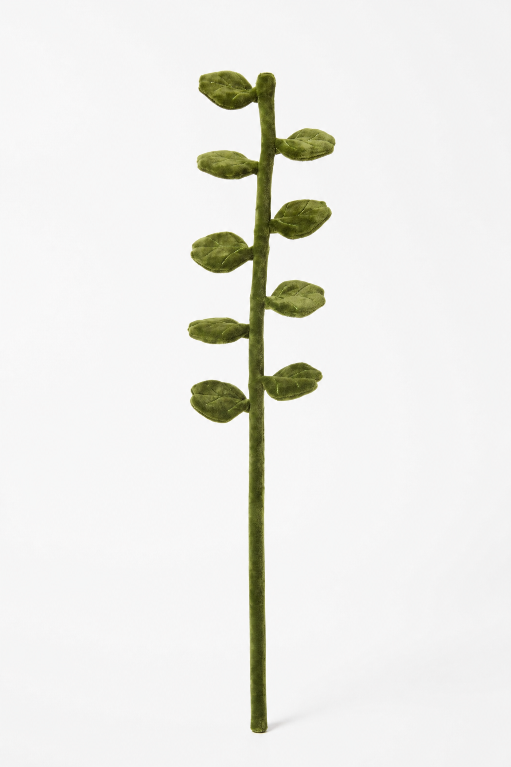 基于参考图中的绿色毛绒植物枝条产品进行精修重绘：1. 去除底部… - 图片创意预览