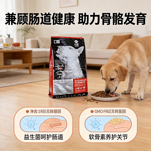 [主图-4] 心粮经典牛肉犬粮功效与适用场景展示图。氛围风格：真实养宠场景风，温暖可信。画质：商业摄影质感，光线柔和通透，产品清晰真实，画面干净高级。元素：主场景为客厅地板上，中大型犬进食，旁放心粮15kg大包装袋，下方两个圆角小画中画分别展示"益生菌呵护肠道"和"软骨素养护关节"的功效示意。保持产品包装袋外观、文字信息、颜色和原图绝对一致，杜绝变形和色差，精细化处理。光影：自然客厅柔光，氛围温馨，产品和宠物都清晰明亮。配色：保留产品黑红主色，搭配客厅浅暖色调，整体温暖舒适。视角构图：主场景占画面70%，两个小画中画在底部并排，整体满屏无边框，层次分明。文字版式：顶部主标题写"兼顾肠道健康 助力骨骼发育"，加粗大字；每个小画中画上方标注对应功效短句，字体圆润，颜色清晰对比。所有文字不遮挡主体，信息层级清晰。比例分辨率：1:1比例，2k分辨率，文字清晰锐利，超高清。负向提示词：变形，水印，文字错乱，产品图模糊，背景杂乱，夸大描述，绝对化用语，医疗宣传。