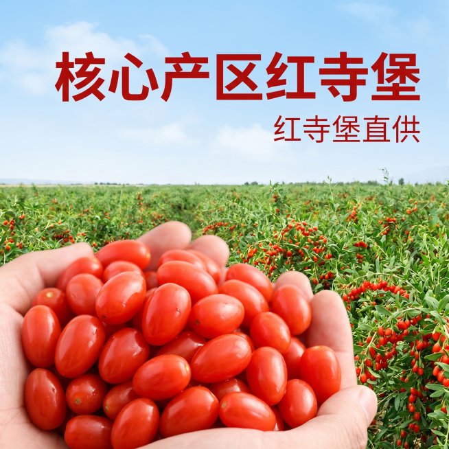 [主图-2] 红寺堡枸杞核心产区溯源图。[氛围风格] 真实可信，产地自然氛围；[画质] 商业摄影质感，光线柔和通透，产品清晰真实，画面干净高级。[元素] 画面主体前方是一堆捧起的饱满枸杞子，鲜红油亮颗预览效果