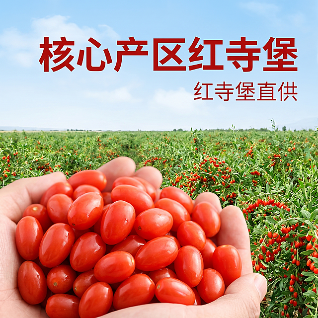 [主图-2] 红寺堡枸杞核心产区溯源图。[氛围风格] 真实可信，产地自然氛围；[画质] 商业摄影质感，光线柔和通透，产品清晰真实，画面干净高级。[元素] 画面主体前方是一堆捧起的饱满枸杞子，鲜红油亮颗粒清晰；背景是宁夏红寺堡枸杞田开阔实景，大片枸杞树郁郁葱葱挂着果实，蓝天白云天气晴朗。在画面中上部叠加超大文字"核心产区红寺堡"，文字不遮挡枸杞主体。商品主体占比严格控制在65%左右，画面满屏无边框。保持枸杞外观颜色真实一致，杜绝变形色差，精细化处理。[光影] 白天自然光柔和均匀，枸杞果实受光凸显红润油亮质感，背景自然明亮，光影层次清晰。[配色] 主色调：枸杞红色+田园绿色；辅助色：天空蓝色，整体自然清新。[视角构图] 近景枸杞特写+远景产地背景，前景清晰背景完整，构图平衡突出产地优势。[文字版式] 画面中上部偏右，大字主文案"核心产区"加粗红色字体，下方小字"红寺堡直供"浅色字体，文字叠加在背景蓝天空白处，不遮挡枸杞和种植园主体，清晰醒目。[比例分辨率] 1:1比例，2k分辨率，文字清晰可辨，超高清。[负向提示词] 变形，水印，文字错乱，产品图模糊，背景杂乱。