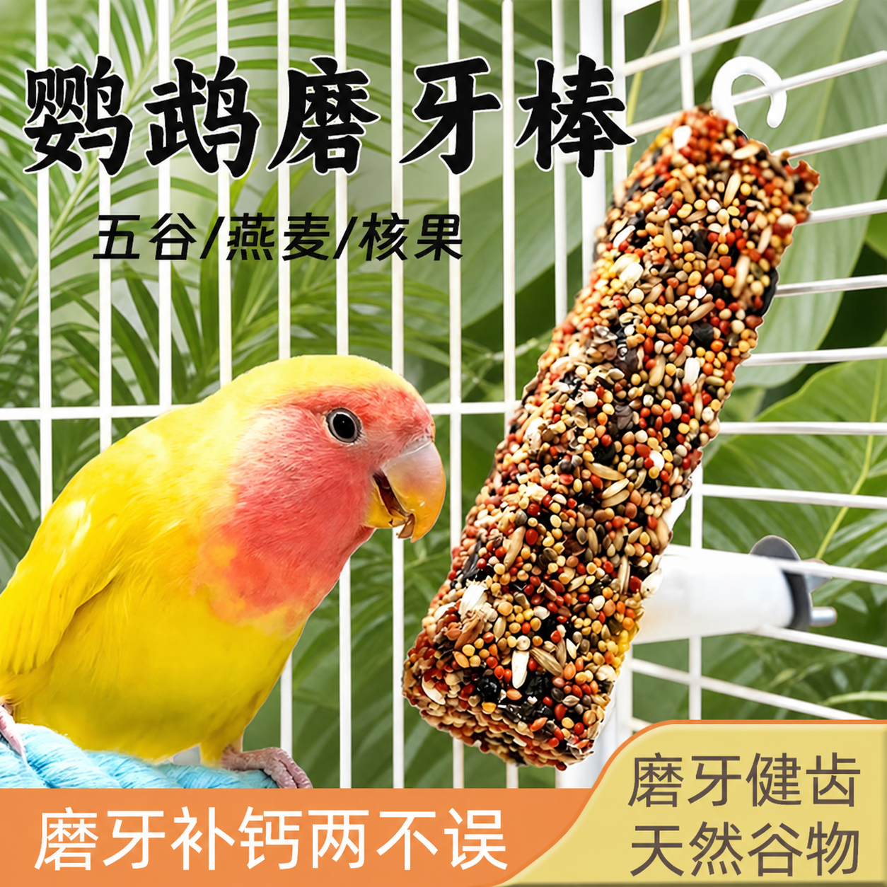 将图二的鹦鹉、鸟笼、磨牙棒、所有文字和底部色块等所有前景元素完… - 图片创意预览