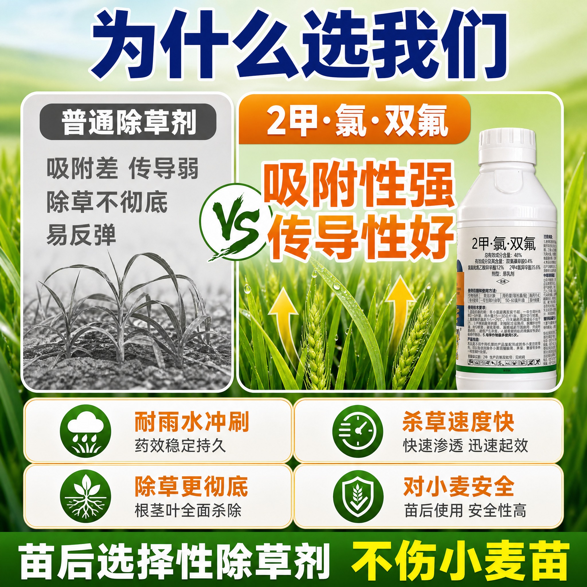 [主图-5] 48% 2甲·氯·双氟 小麦田除草剂（800克装… - 图片创意预览