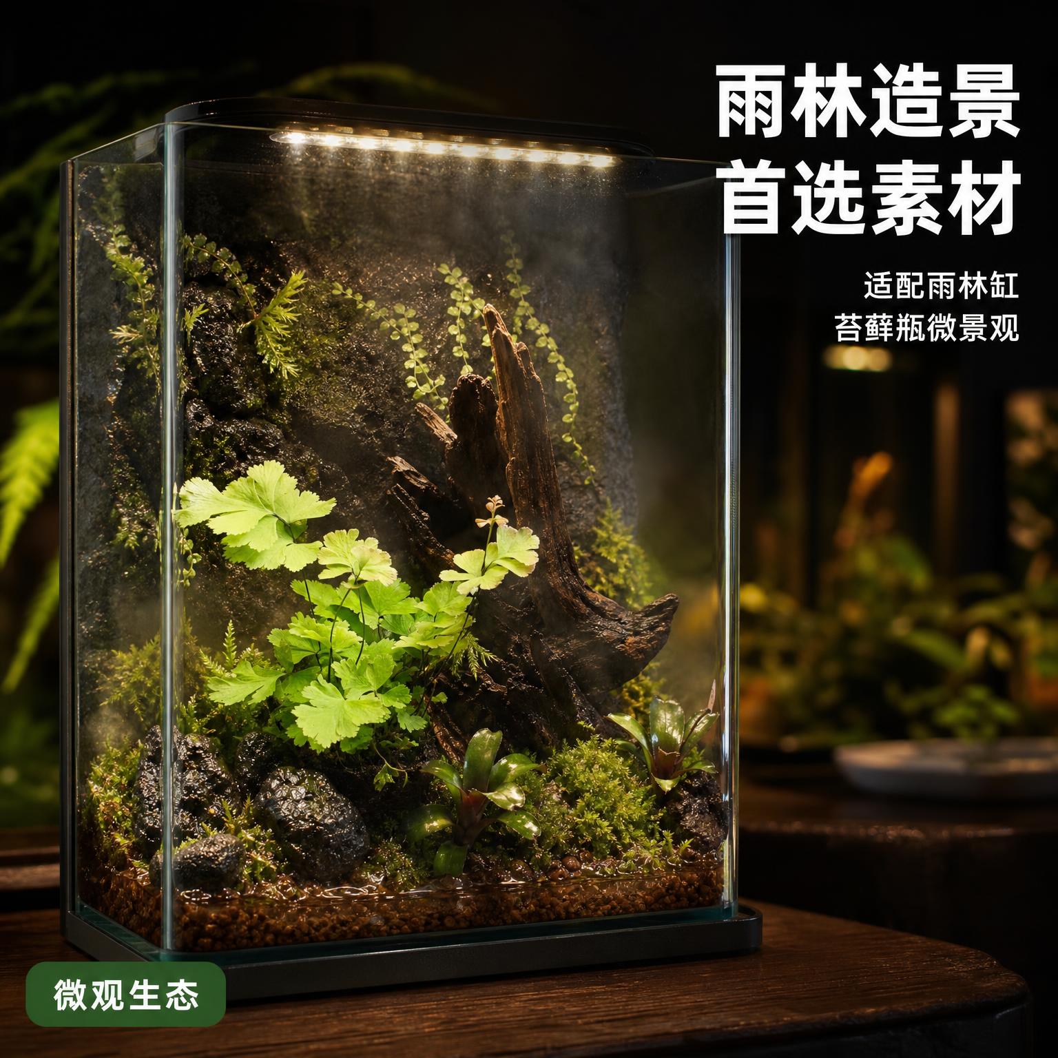 [主图-3] 凤舞铁线雨林缸造景场景展示图 [氛围风格] 黑化… - 图片创意预览