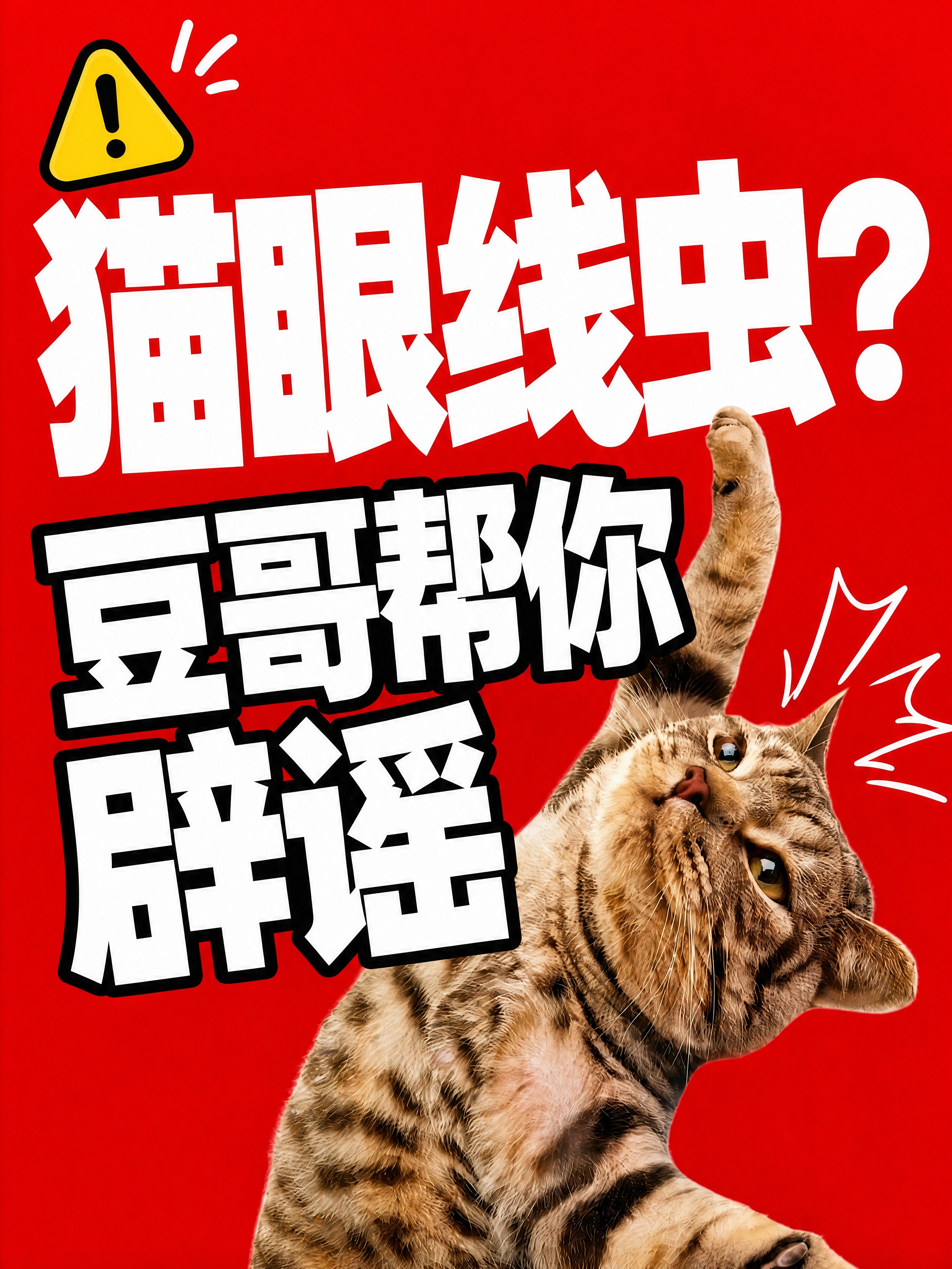 小红书笔记大字封面，配图大字，高饱和撞色警示风，版式精美，小红… - 图片创意预览