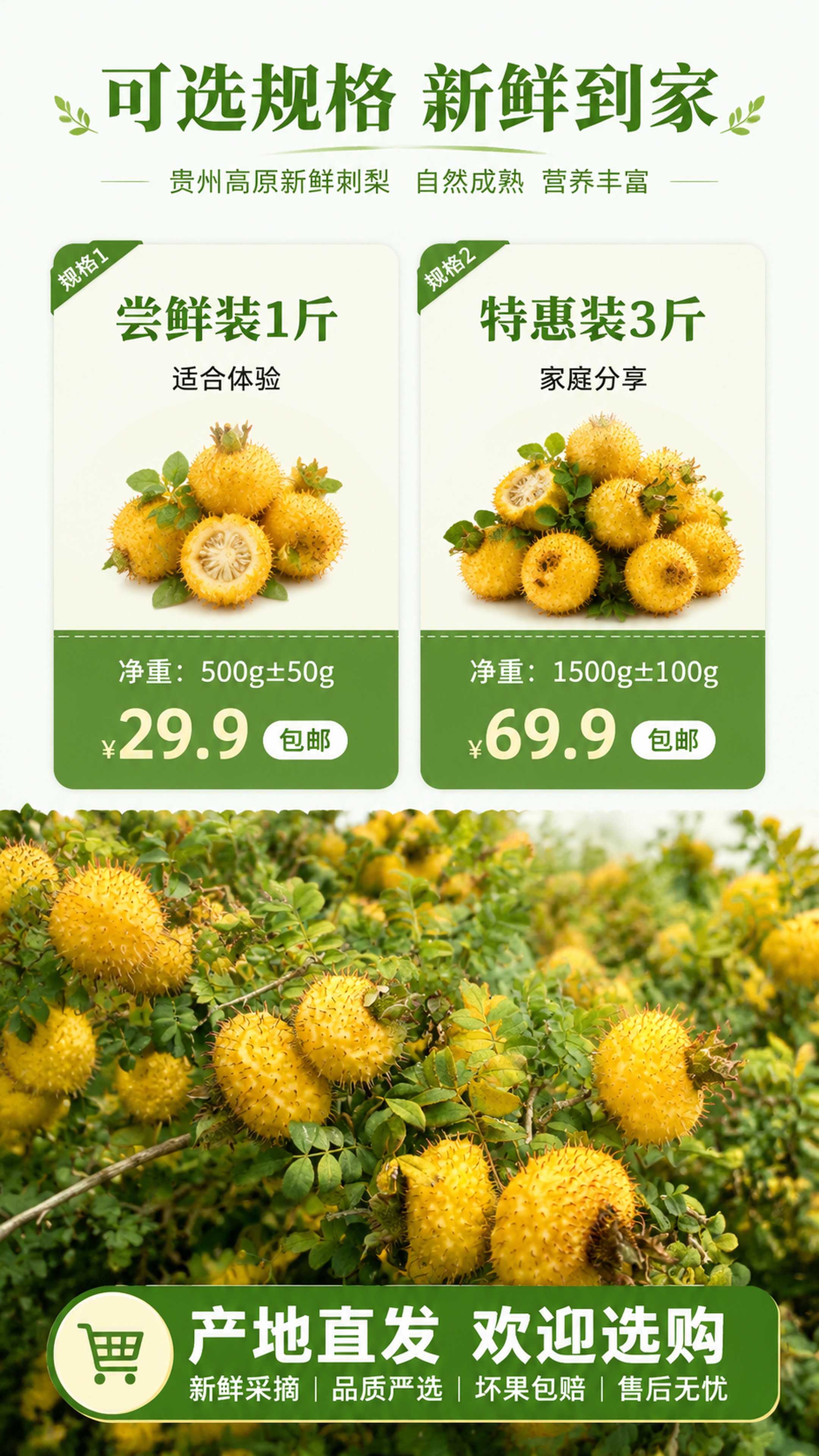 「图片1」，生成电商产品详情页，商品名称是贵州新鲜刺梨，卖点是… - 图片创意预览