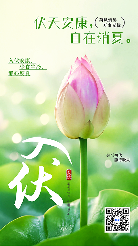 入伏祝福实景荷花三伏天手机竖版海报