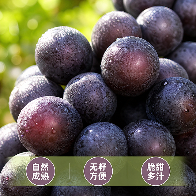 [主图-3] 夏黑葡萄颗粒细节特写
[氛围风格] 微距食欲感风格
[画质] 商业摄影质感、光线柔和通透、产品清晰真实、画面干净高级。
[元素] 微距特写夏黑葡萄的表面，展示颗粒饱满圆润，深紫黑的果皮带着天然果粉，纹理清晰，保留原图葡萄真实质感、色泽和形状不变，精细化处理。微距特写突出果实新鲜，背景虚化，主体葡萄占比约75%，满屏无边框
[光影] 自然逆光，突出葡萄果皮的光泽和通透感，果肉质感隐约可见
[配色] 深紫为主，背景浅绿虚化，突出主体
[视角构图] 近距离微距特写，对焦在葡萄表面，背景虚化，突出细节
[文字版式] 底部浅绿半透明悬浮条，横向排列三个卖点：自然成熟 / 无籽方便 / 脆甜多汁，每个卖点用圆形浅紫底白字，文字清晰，不遮挡主体细节
[比例分辨率] 1:1 比例，4k 分辨率；文字清晰锐利，画面超高清
[负向提示词] 变形，水印，文字错乱，产品图模糊，背景杂乱，颗粒模糊