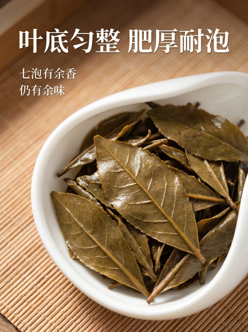 [详情页5 叶底展示]冲泡后大红袍叶底竖版详情页。氛围风格：真实新鲜，突出耐泡品质。画质：商业摄影质感、光线柔和通透、产品清晰真实、画面干净高级。元素：白瓷盘展示舒展完整的大红袍叶底，叶片肥厚匀整，纹预览效果