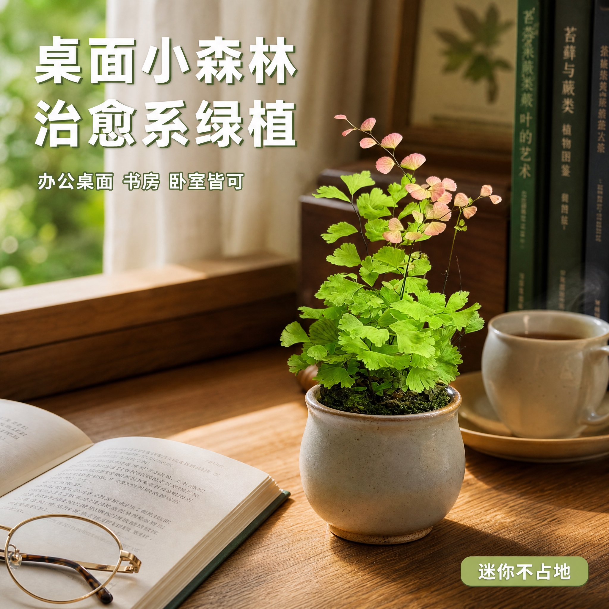[主图-4] 桌面摆放场景图，展示柔情铁线蕨作为桌面绿植的日常… - 图片创意预览