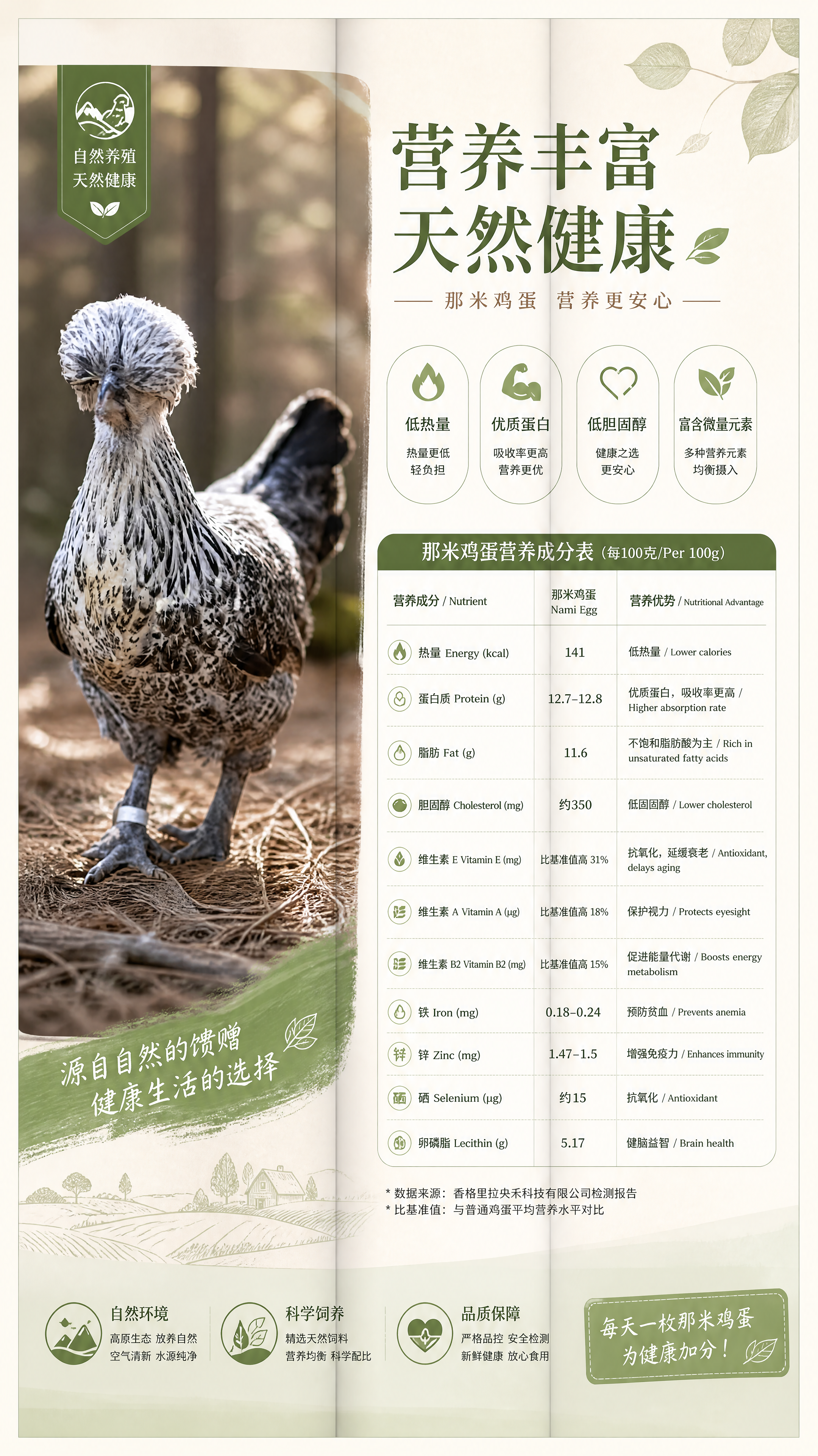 三折页宣传册内页设计，整体采用自然原生态风格，使用写实商业摄影… - 图片创意预览