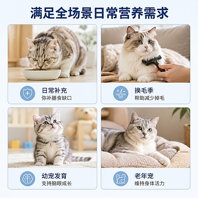 [第6屏] 多场景适用展示-全生命周期呵护。
[氛围/风格] 温馨场景拼贴风格，柔和自然，传递日常陪伴感。
[元素布局] 采用四格场景拼图，展示四种不同使用场景；每个场景配简短标题说明，四个场景分别为：日常营养补充、换毛季护理、幼宠发育期、老年宠养护；整体排版均衡不拥挤。
[光影质感] 每个场景光线自然柔和，场景氛围真实可信。
[配色色系] 全局底色 #f5f9fc；主色浅蓝色场景框，深蓝色标题，文字清晰自然。
[视角构图] 2×2四宫格排版，每个场景独立一格，均衡分布，信息一目了然。
[文字版式] 顶部大标题「满足全场景日常营养需求」，加粗居中；每个场景格内标注场景名称和核心作用：「日常补充 弥补膳食缺口」「换毛季 帮助减少掉毛」「幼宠发育 支持脑眼成长」「老年宠 维持身体活力」；文字简洁清晰，放在每个格子底部，不遮挡场景。
[比例分辨率] 1:1 正方形比例，4K分辨率，文字清晰可辨，高清画质。
[负向提示词] 场景混乱，文字遮挡场景，医疗化用词，违规宣传，排版杂乱。