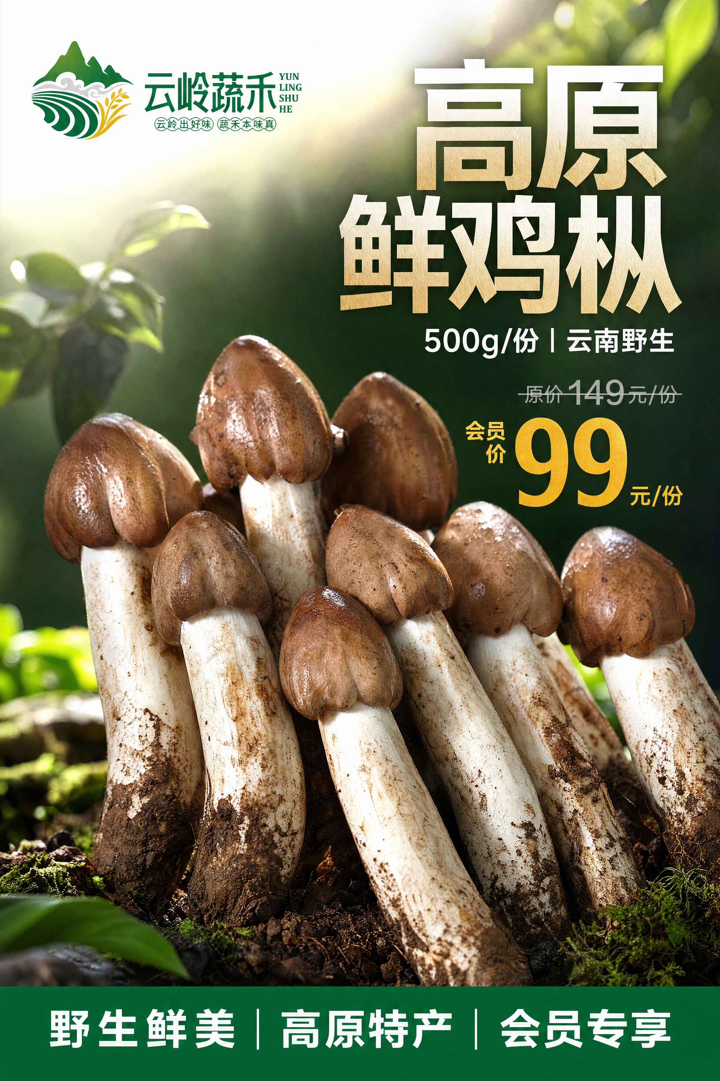 基于上传的高原鲜鸡枞实物图，制作专业美食摄影级生鲜竖版海报，8… - 图片创意预览