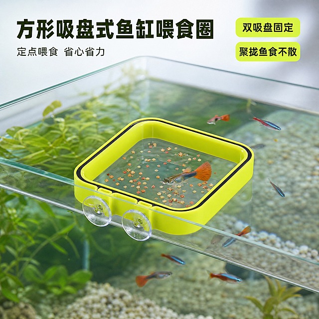 [主图-1] 主题：方形吸盘式鱼缸喂食圈 真实鱼缸使用场景首图，核心任务是让用户一眼看清产品外观、安装方式和核心利益点——定点喂食 聚拢鱼食不散乱。
[统一基调] 京东风格 简洁稳重 品质感 真实水族场景 文字占比小于30% 一图一重点。
[画面] 产品为荧光黄绿色方形吸盘式喂食圈，带黑色包边镂空方框，底部两个透明吸盘。产品安装在一个真实家用玻璃鱼缸的内侧缸壁上，吸盘牢固吸附在透明玻璃上，喂食圈浮于水面，方框内漂浮着少量颗粒状鱼食，鱼食被聚拢在方框内不向外飘散。鱼缸内有清澈的水体，底部铺有浅色砂石，后方有少量绿色水草和小型观赏鱼（如孔雀鱼或红绿灯鱼）在水中游动，其中一两条鱼正靠近喂食圈准备进食。画面为正面略微俯视角度，能同时看清鱼缸内部场景和喂食圈的完整方形结构与双吸盘固定方式。产品主体占画面约60%，位于画面中前景位置，背景的鱼缸和水族环境自然虚化突出主体。
[光影质感] 自然室内柔光，模拟窗边自然光照射鱼缸，水体有通透感和轻微折射，玻璃缸壁有真实反光，喂食圈的荧光黄绿色塑料材质有真实光泽，吸盘有透明硅胶质感，产品与水面接触自然，整体为商业摄影级真实质感。
[配色] 主背景为真实水族环境的蓝绿色调水体和透明玻璃，产品主色为荧光黄绿色，标题文字用深墨绿色或深灰色，辅助文字用中灰色，强调色用亮黄绿色，整体清新自然符合水族用品调性。
[文字版式] 左上角放置主标题「方形吸盘式鱼缸喂食圈」，字体为圆润无衬线粗体，字号较大清晰醒目。主标题下方一行副标题「定点喂食 省心省力」，字号缩小约50%。右上角放置两个圆角小标签，分别写「双吸盘固定」和「聚拢鱼食不散」，标签底色为浅黄绿色，文字为深绿色。文字均放在画面负空间，不遮挡产品主体和鱼缸核心场景。
[输出要求] 1:1正方形比例 2048x2048像素 文字清晰可读 产品外观结构颜色与输入图完全一致 真实水族场景自然融合。负向：产品变形 色差 悬浮 穿模 文字错字模糊 画面杂乱 水印 京东Logo 平台标识 多余手指 畸形手