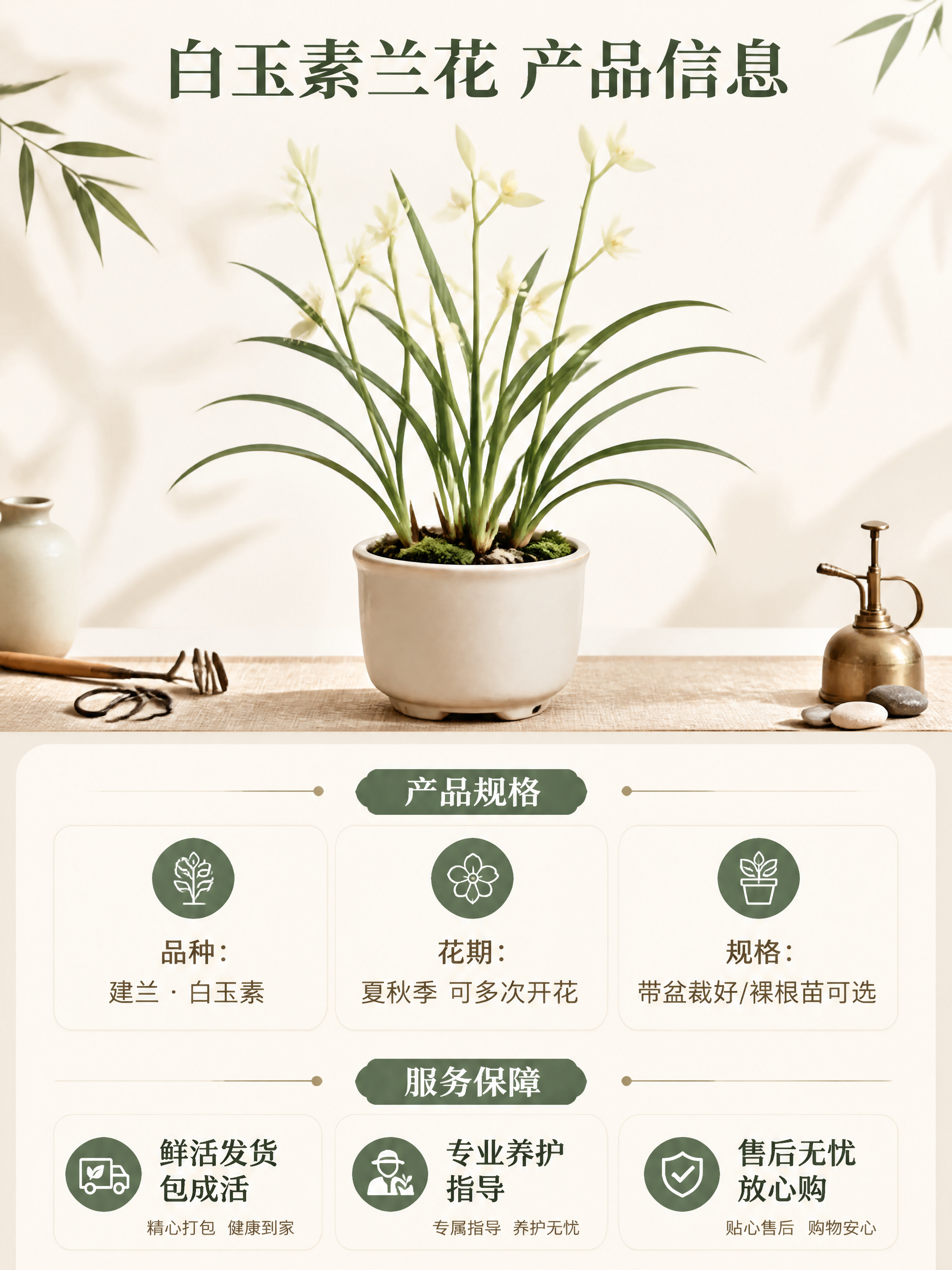 [商品] 使用【图1】白玉素兰花；保留奶白偏黄绿素心花瓣、黄色… - 图片创意预览