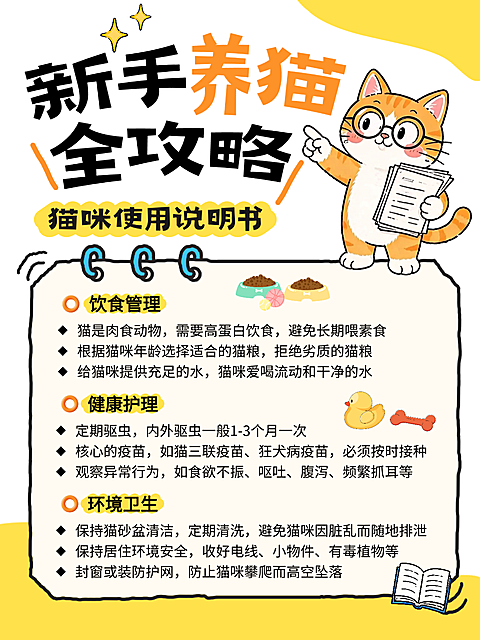 新手养猫攻略养宠知识分享卡通小红书配图