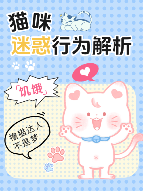 猫咪饲养技巧小红书封面预览效果