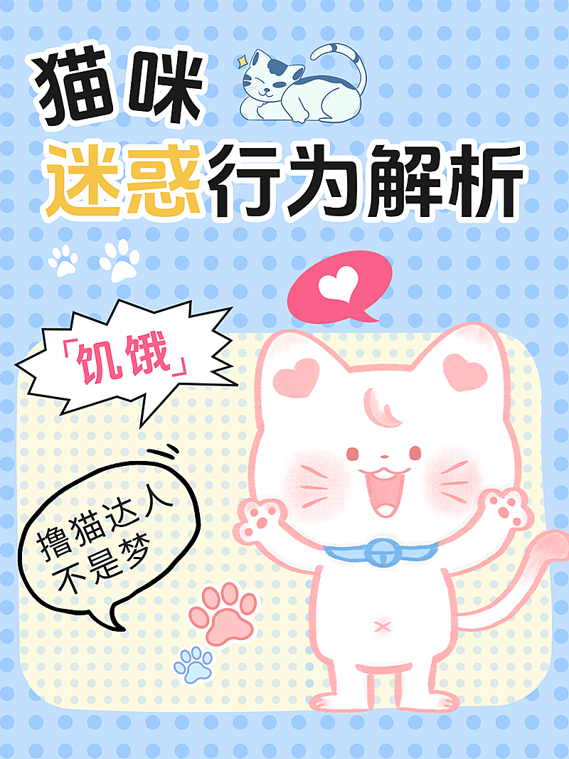 猫咪饲养技巧小红书封面