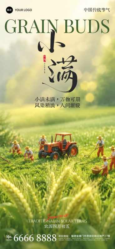 传统文化小满节气习俗宣传祝福简约风全屏竖版海报预览效果