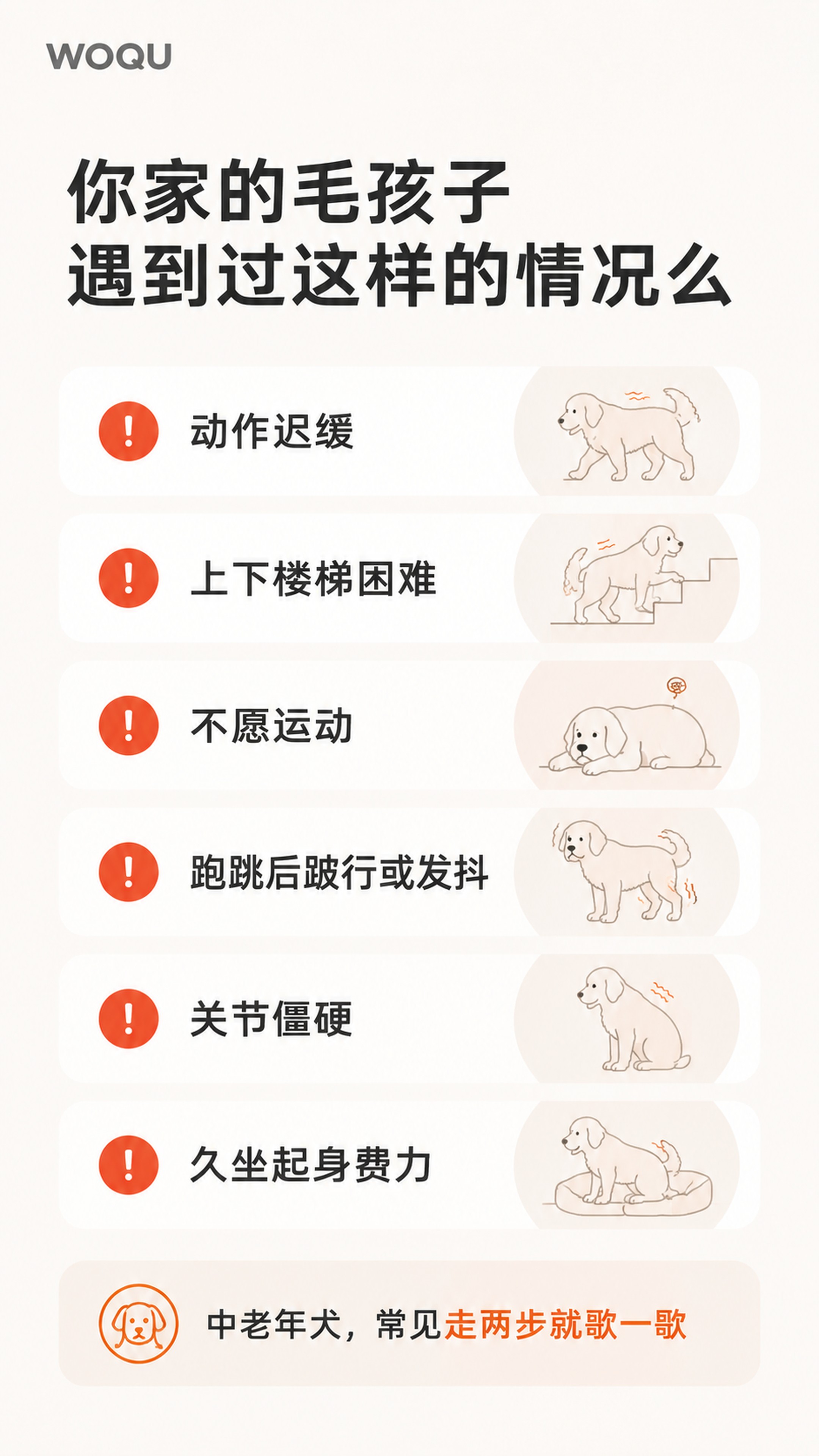 [第3屏] 痛点场景页，宠物关节问题科普。本屏为纯信息展示页，… - 图片创意预览