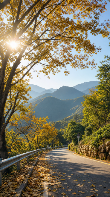 深圳梧桐山自然风光，秋季山间道路旁梧桐树落叶金黄，远处山峦层叠，阳光透过树叶洒下，宁静清新的山林景色，画质清晰自然预览效果