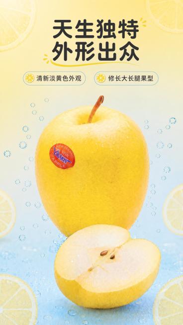 「图片1」四周的黄色叶子元素不好看预览效果