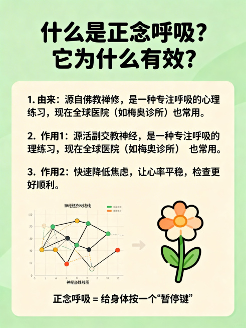 医疗检查正念呼吸指南内页海报，柔和绿色搭配暖米色，简约干净插画风格，清爽配色。大黑体标题"什么是正念呼吸？它为什么有效？"，圆润黑体正文。内容三点：1. 由来：源自佛教禅修，是一种专注呼吸的心理练习，预览效果