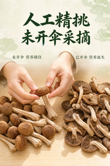 [第3屏] 品质工艺屏，人工精选未开伞采摘展示
[氛围/风格] 新中式国潮风格，自然真实选材质感，商业摄影质感
[元素布局] 画面中部是一双手正在挑选干茶树菇，对比展示开伞和未开伞茶树菇，左侧放未开伞预览效果