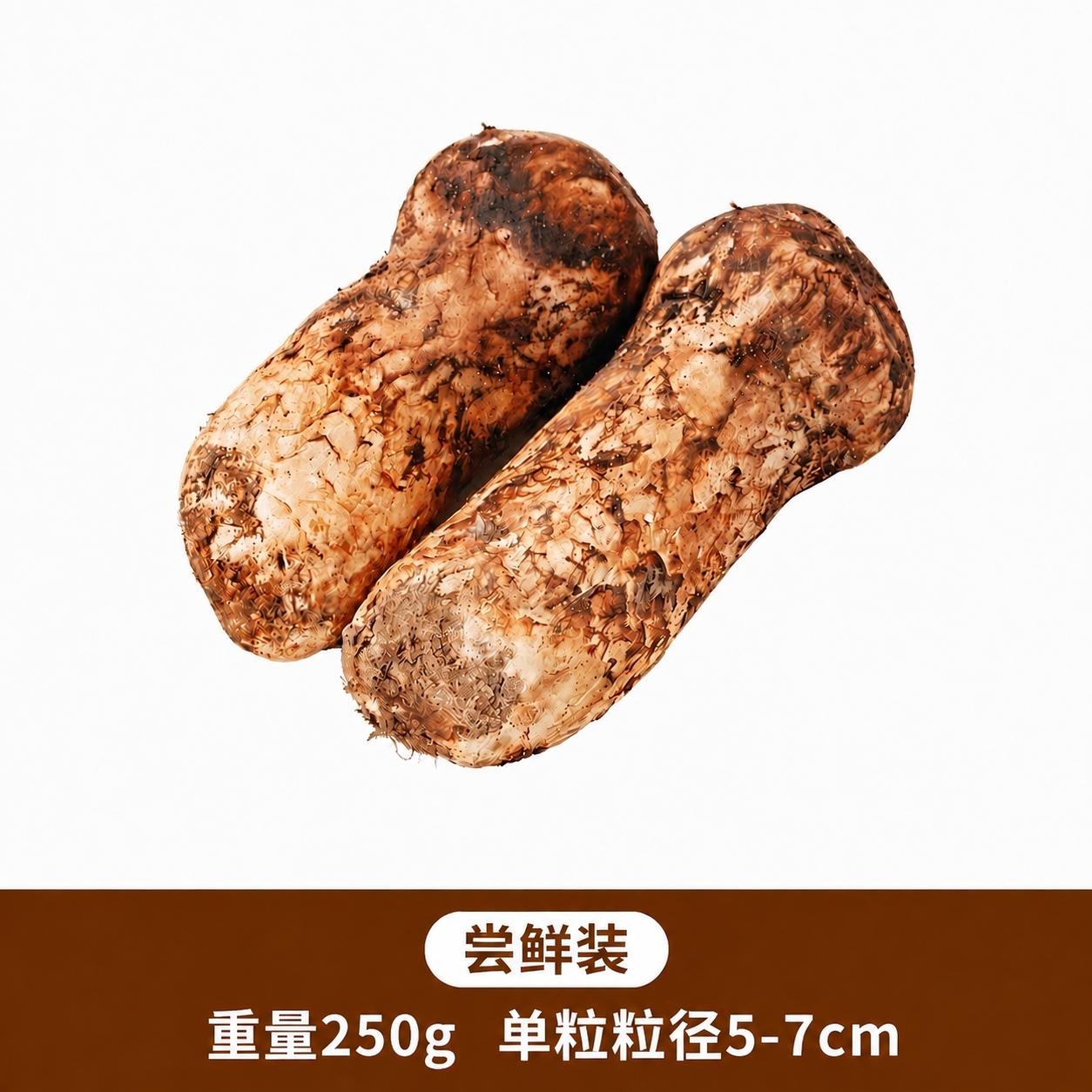 将图片底部棕色区域中的文字'重量500g'修改为'重量250g… - 图片创意预览