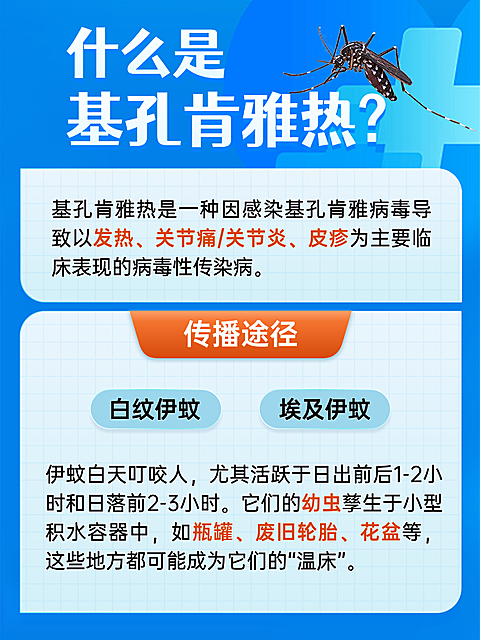 基孔肯雅热科普海报