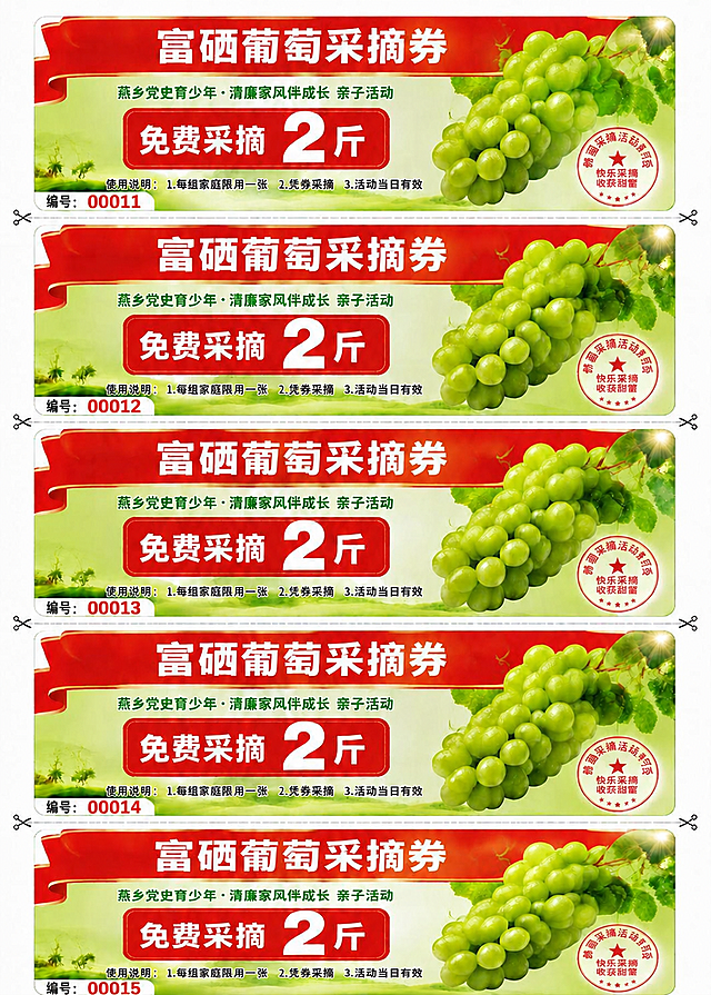 将图片中5张富硒葡萄采摘券的编号依次修改：第1张编号00006改为00011，第2张编号00007改为00012，第3张编号00008改为00013，第4张编号00009改为00014，第5张编号00010改为00015。保持编号的字体、颜色、大小、位置和背景样式与原图完全一致，其余所有内容保持不变。