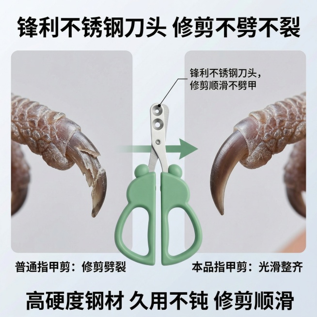1:1竖版电商主图，清新自然宠物护理风，严格还原上传的产品图，包括指甲剪的金属刀头细节等所有细节，产品尺寸比例1:1。主视觉：左右对比布局，左侧特写普通指甲剪修剪后劈裂的鸟类指甲，右侧特写本品修剪后整预览效果