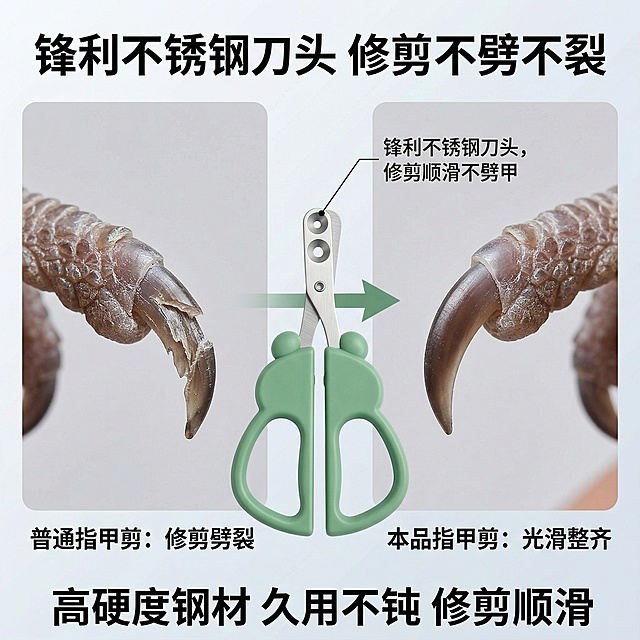 1:1竖版电商主图，清新自然宠物护理风，严格还原上传的产品图，包括指甲剪的金属刀头细节等所有细节，产品尺寸比例1:1。主视觉：左右对比布局，左侧特写普通指甲剪修剪后劈裂的鸟类指甲，右侧特写本品修剪后整齐光滑的指甲，中间放置绿色款指甲剪，搭配“锋利不锈钢刀头，修剪顺滑不劈甲”标注，背景为浅灰渐变，对比鲜明。主标题："锋利不锈钢刀头 修剪不劈不裂"，副标题："高硬度钢材 久用不钝 修剪顺滑"，文字采用粗体无衬线字体，纯黑色，主标题居上居中，副标题居下居中，排版对比清晰，整体风格有说服力，高清质感。禁止修改刀头材质/锋利度；禁止模糊刀头细节；禁止对比场景比例失调；禁止产品比例失调；禁止添加无关元素；禁止风格割裂。