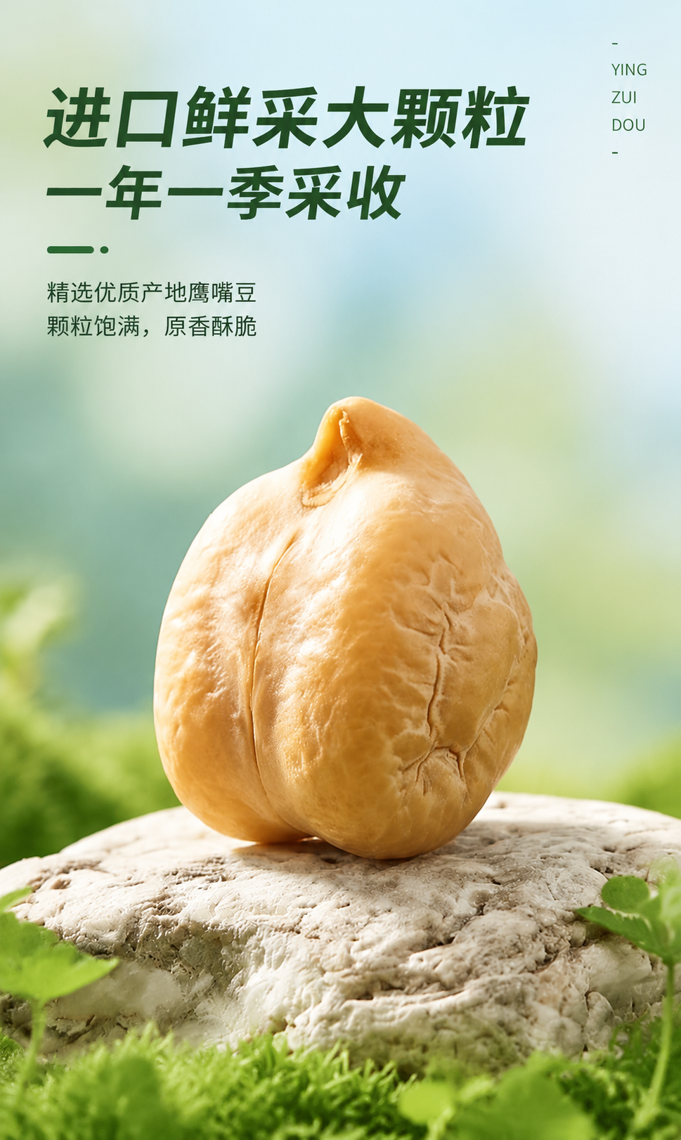 [商品] 使用【图2】【图10】节节旺鹰嘴豆；保留鹰嘴豆浅黄褐… - 图片创意预览