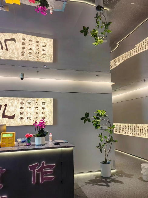 把这9张图片修改为适合小红书配图的尺寸和亮度预览效果