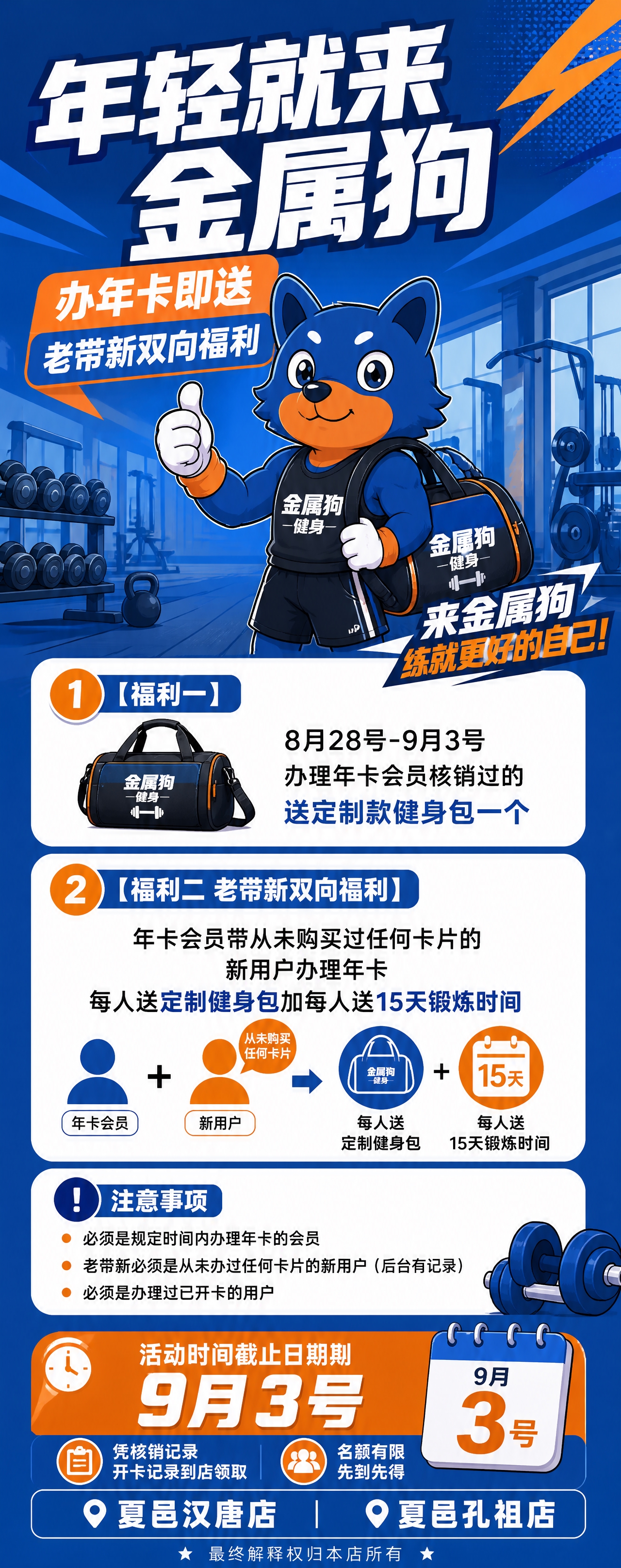 金属狗健身年卡促销易拉宝设计，80x180cm竖版（比例约2:… - 图片创意预览