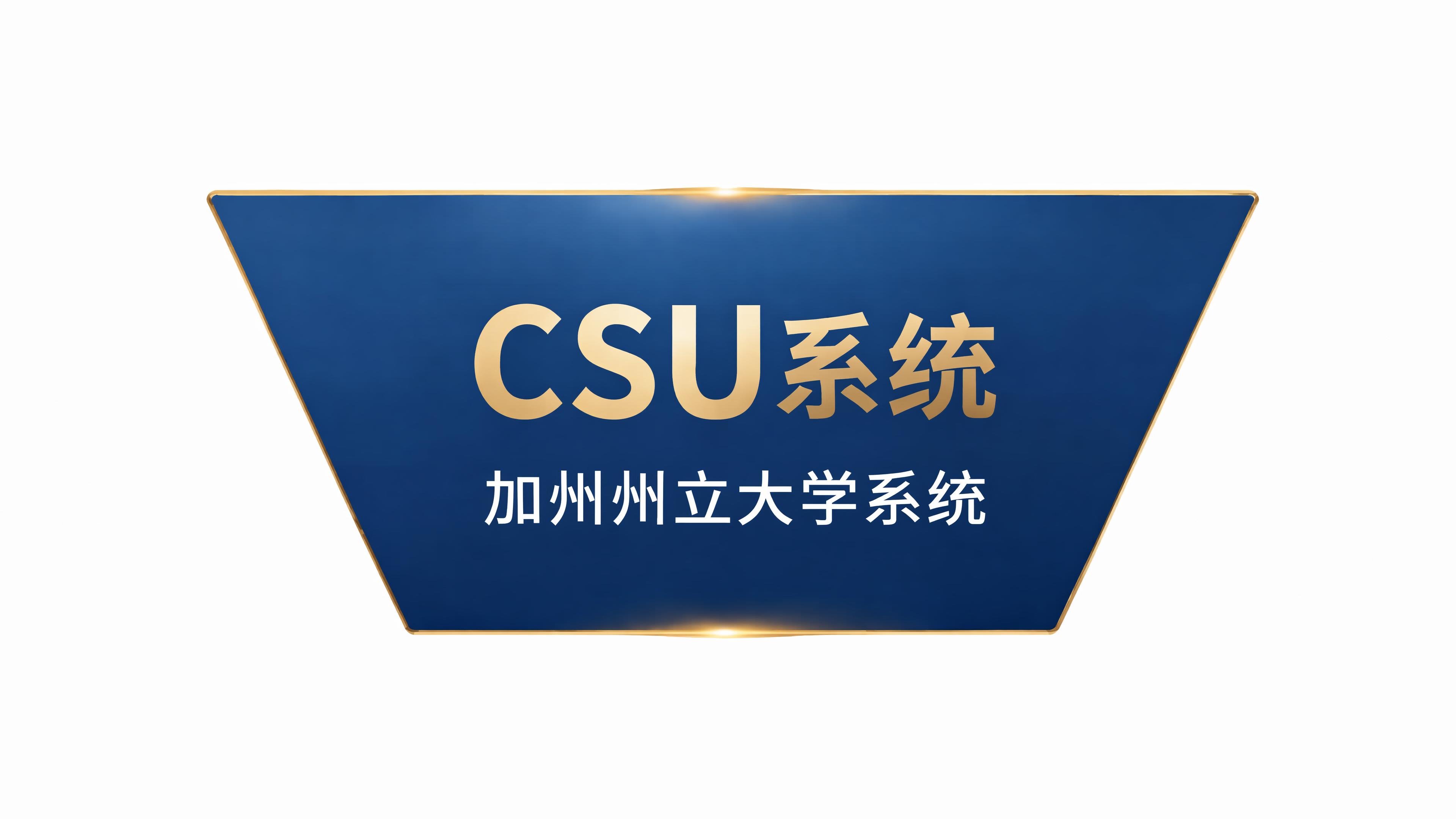 纯白色背景，只保留倒金字塔的中间层（CSU系统层），保持原有的… - 图片创意预览