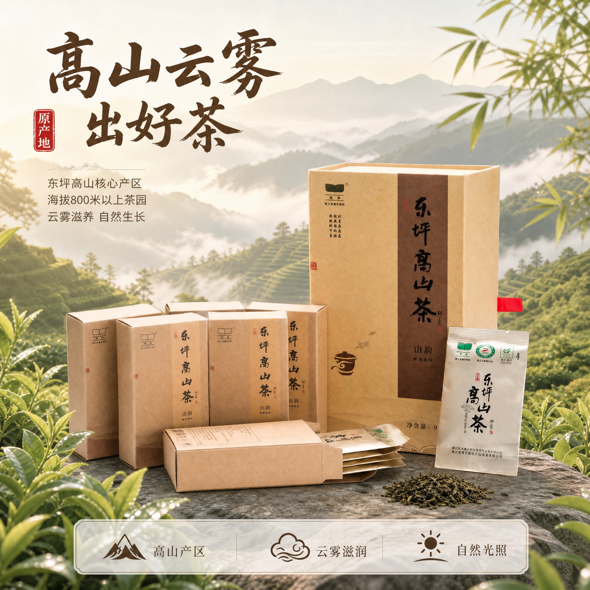 [主图-2] 东坪高山茶产地溯源图，展示高山茶园氛围与核心产区… - 图片创意预览