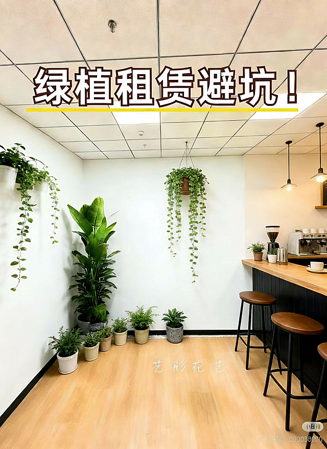 把图片上的豆包AI生成这几个字去掉，在把这九张照片合成一张，用做发小红书笔记使用