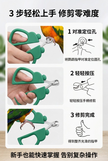 清新自然宠物护理风，严格还原上传产品图中鹦鹉指甲剪的造型、使用步骤所有细节，产品比例协调。上中下3步分解教程，第1步将鹦鹉指甲对准定位圆孔，第2步轻轻按压手柄修剪，第3步得到整齐光滑的指甲，每步搭配指预览效果