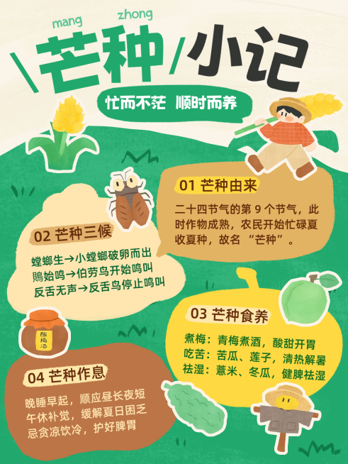芒种节气养生科普分享可爱手绘风小红书封面预览效果