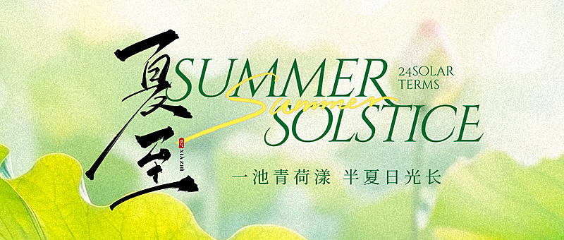 夏至清新实景感荷花荷叶节气祝福通用微信公众号首图